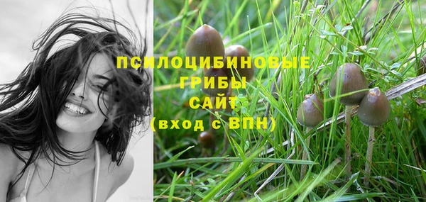гидропоника Покачи