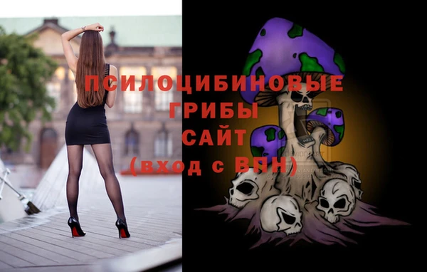 соль курить ск Пересвет
