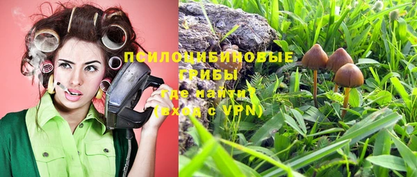 мет Пестово