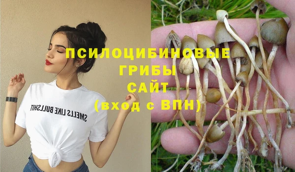 прущая мука Переславль-Залесский