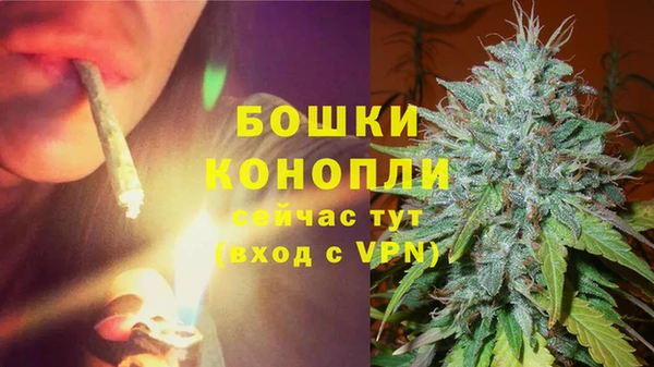соль курить ск Пересвет