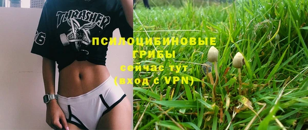 соль курить ск Пересвет