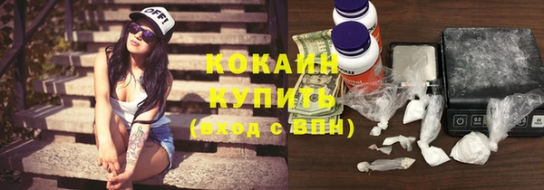 мет Пестово
