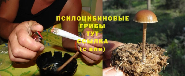 соль курить ск Пересвет