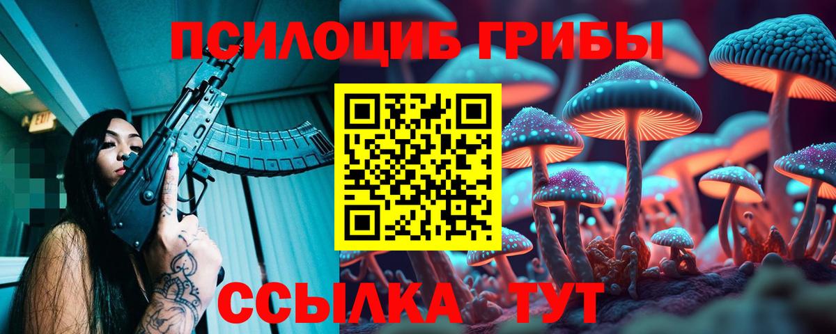 Галлюциногенные грибы мицелий  Вход с VPN  Анжеро-Судженск  Галлюциногенные грибы GOLDEN TEACHER 