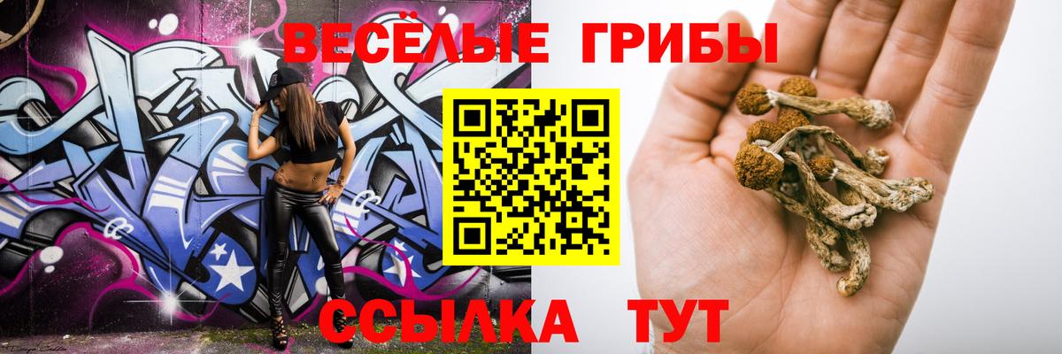 Псилоцибиновые грибы Cubensis  Псилоцибиновые грибы Magic Shrooms  Анжеро-Судженск  Вход с VPN 